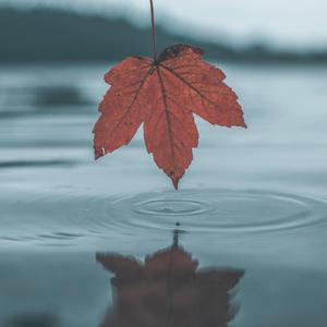 少萝自慰喷浆❌❌❌91
